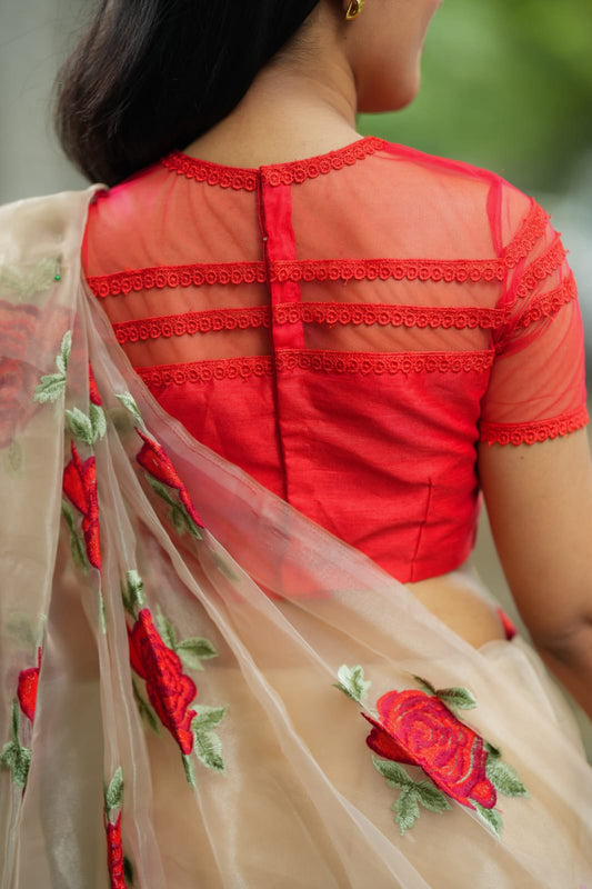 Glossy organza saree with red embroidery blouse