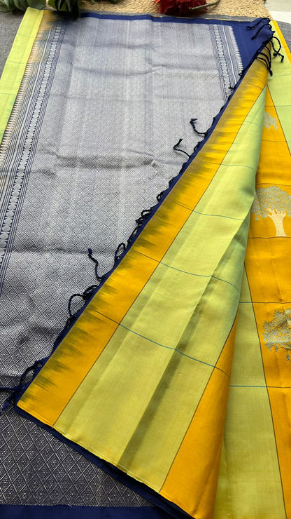 Multicolour kanjivaram soft silk saree with blouse