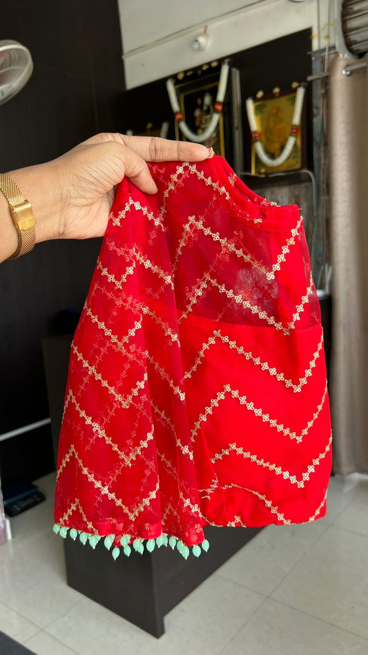 Red sequins embroidery netted blouse