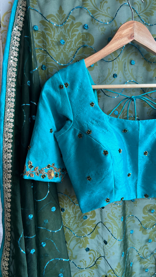 Green organza embroidery saree with hand worked blouse
