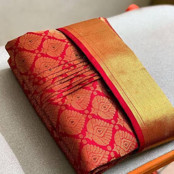 Pre-draped full saree pleats - Threads