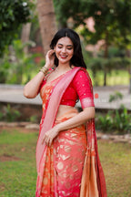 Multi banarasi georgette saree with hand work blouse