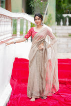Grey tissue saree with red banarasi blouse