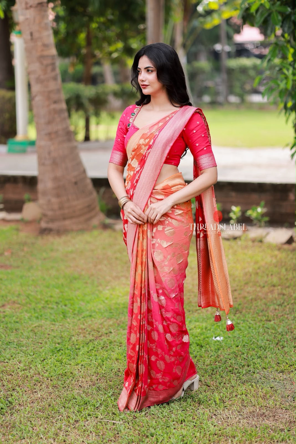 Multi banarasi georgette saree with hand work blouse