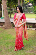 Multi banarasi georgette saree with hand work blouse