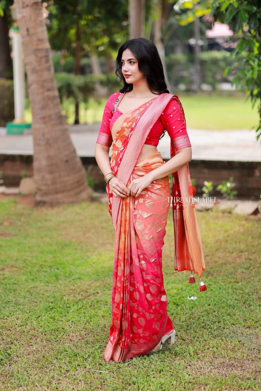 Multi banarasi georgette saree with hand work blouse
