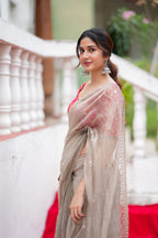 Grey tissue saree with red banarasi blouse