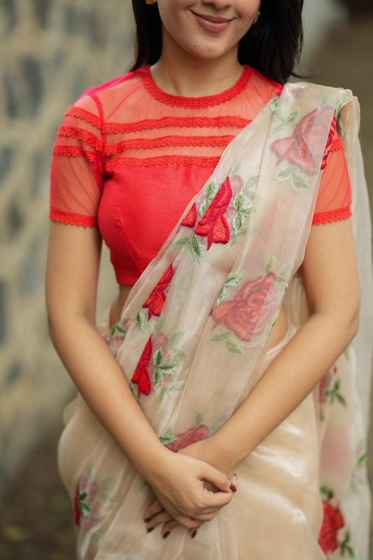 Glossy organza saree with red embroidery blouse