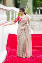 Grey tissue saree with red banarasi blouse