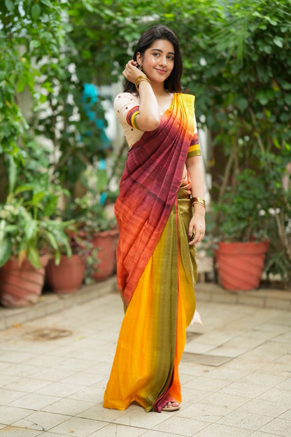 Multi pure tussar silk saree