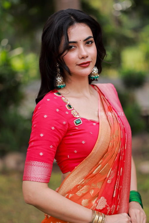 Multi banarasi georgette saree with hand work blouse