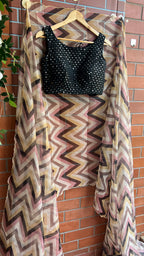 Multi organza saree with black mirror worked blouse