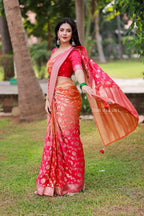 Multi banarasi georgette saree with hand work blouse