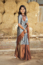 Silver grey brown soft tissue saree with handwork blouse
