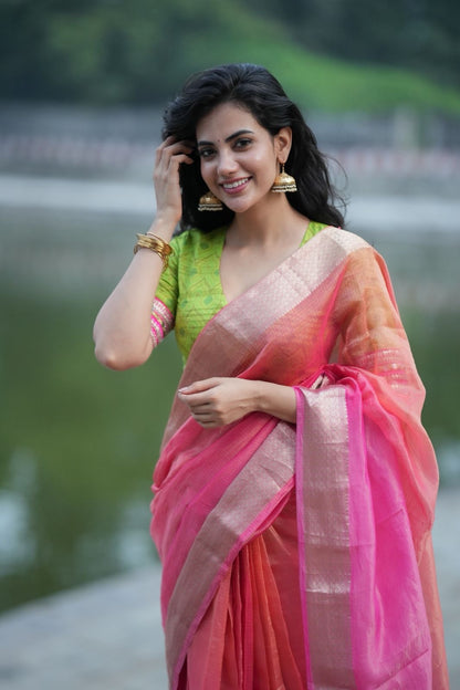 Parrot ikkat silk hand work blouse (Only blouse)