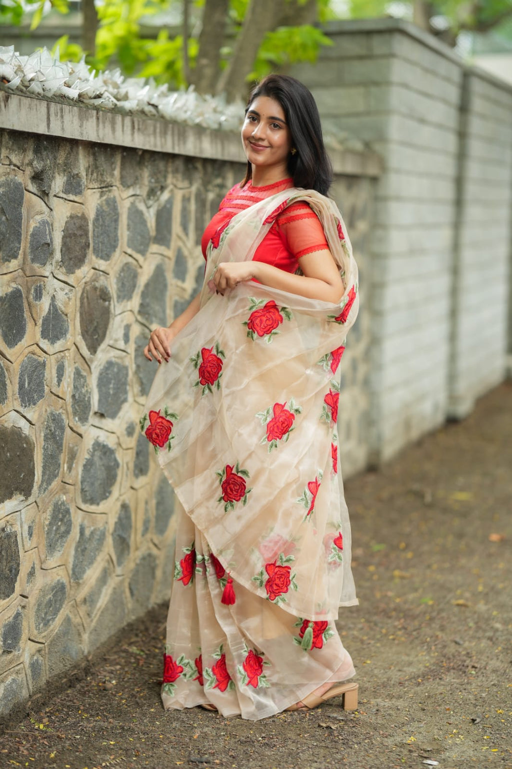 Glossy organza saree with red embroidery blouse
