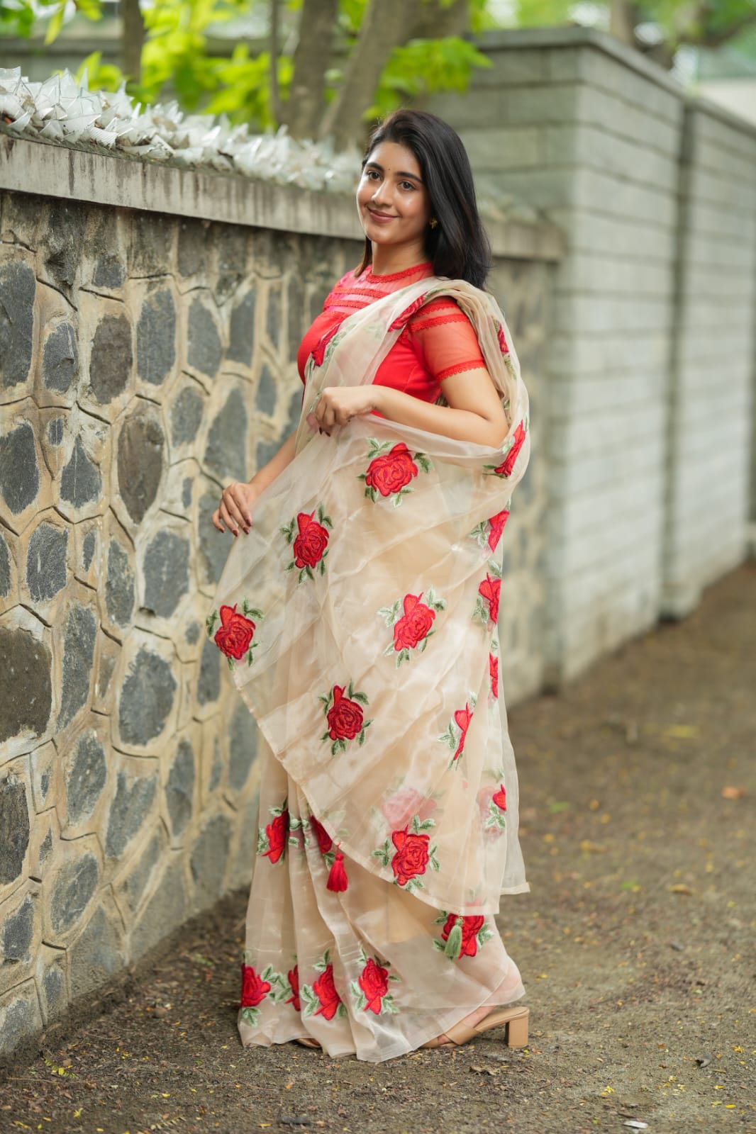 Glossy organza saree with red embroidery blouse