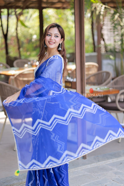 Blue chiffon saree with white embroidery blouse