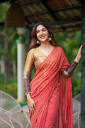 Orange rust saree with tissue handwork blouse
