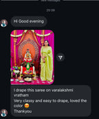 Green silk tissue saree with embroidered blouse