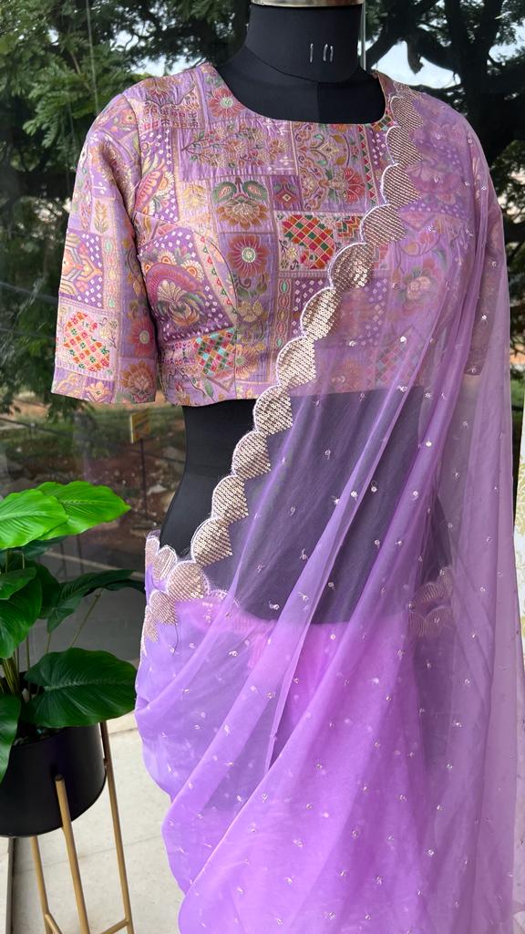 Lilliac organza saree with banarasi work blouse