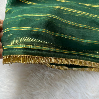 Green stripped organza saree with blouse