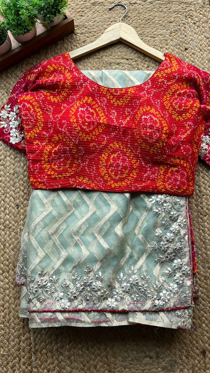 Pista organza saree with chiffon embroidery blouse