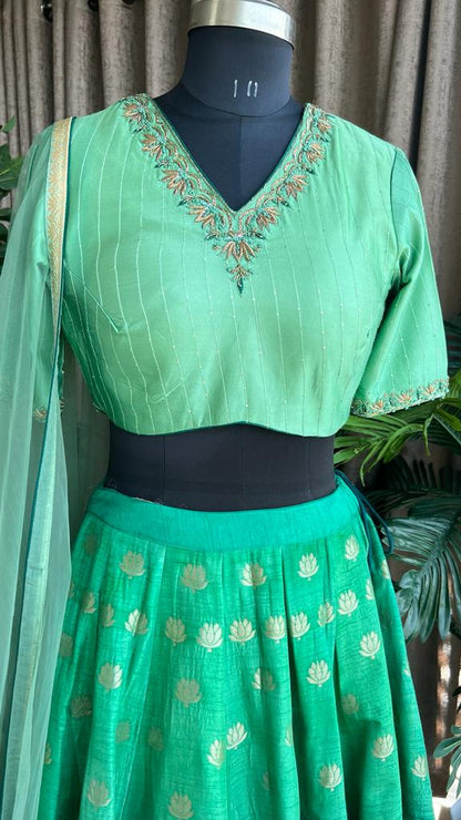 Green banarasi hand painted & embroidered  lehenga