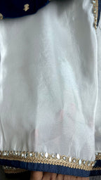 Silver tissue saree with velvet embroidery blouse