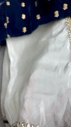 Silver tissue saree with velvet embroidery blouse