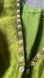 Green soft organza saree with hand worked blouse