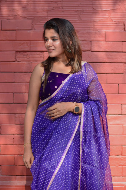 purple organza saree with purple velvet embroidered blouse