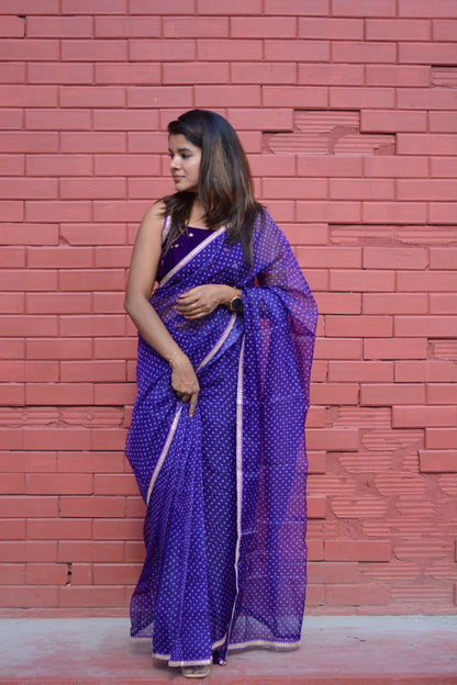 purple organza saree with purple velvet embroidered blouse