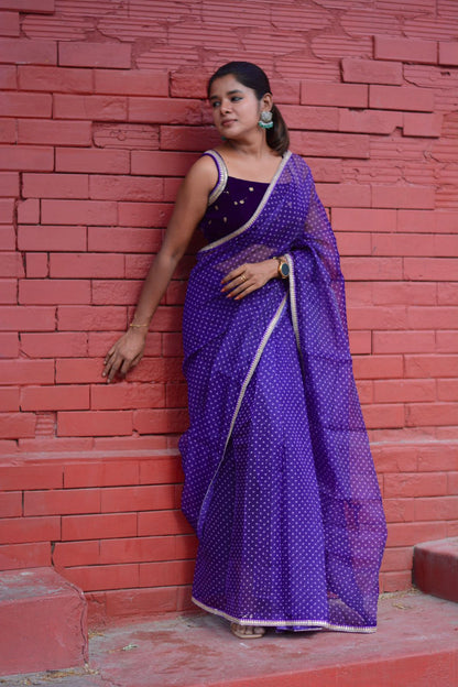 purple organza saree with purple velvet embroidered blouse