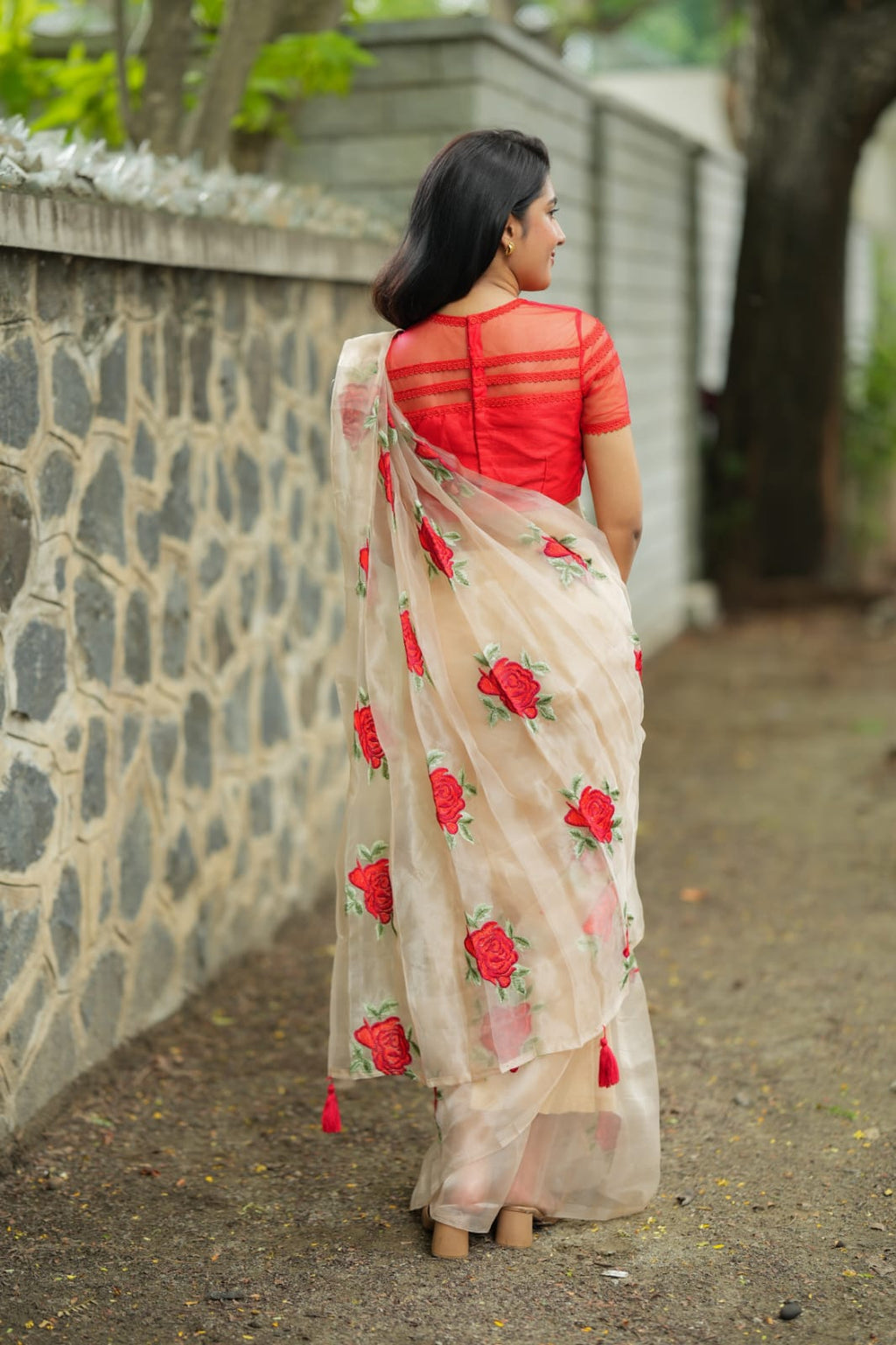 Glossy organza saree with red embroidery blouse
