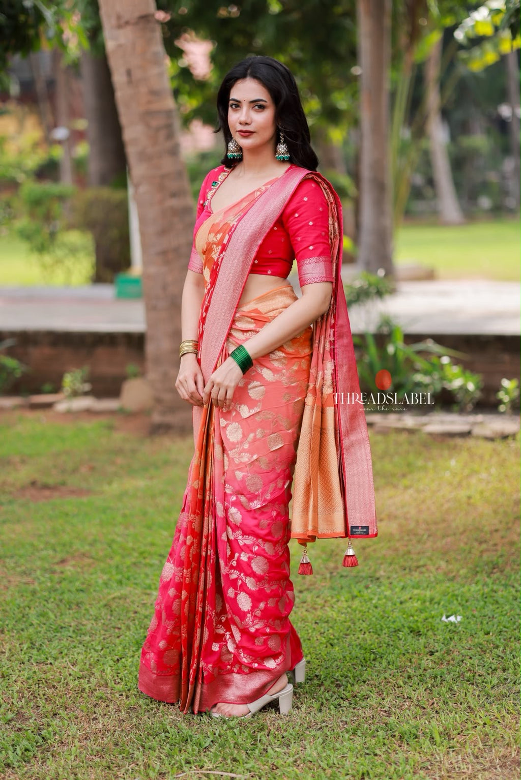 Multi banarasi georgette saree with hand work blouse
