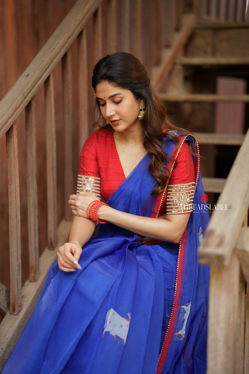 Blue organza cow with red hand work blouse