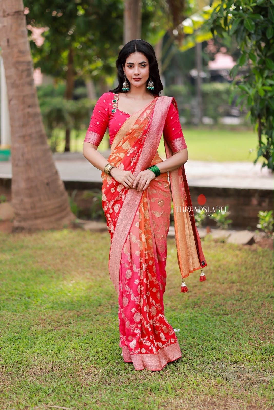 Multi banarasi georgette saree with hand work blouse