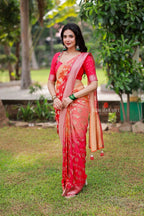 Multi banarasi georgette saree with hand work blouse
