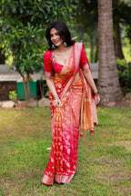 Multi banarasi georgette saree with hand work blouse