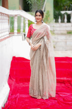 Grey tissue saree with red banarasi blouse