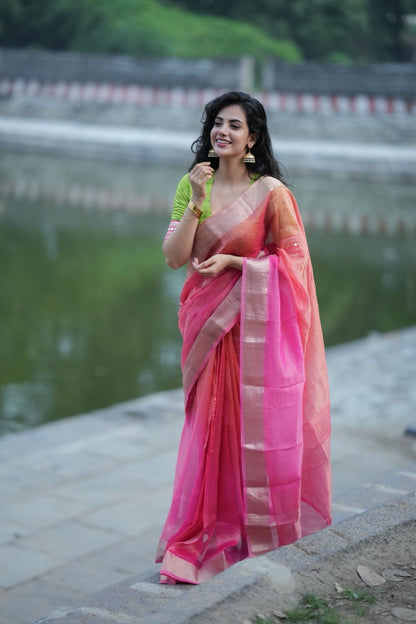 Parrot ikkat silk hand work blouse (Only blouse)