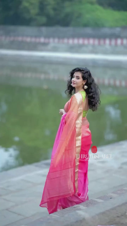 Parrot ikkat silk hand work blouse (Only blouse)