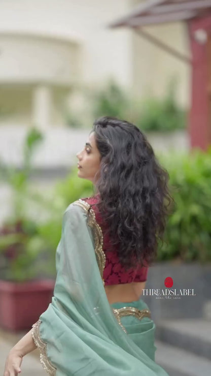Apple green soft organza saree with embroidery blouse