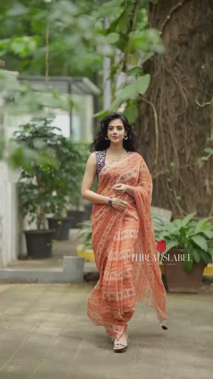 Apple green soft organza saree with embroidery blouse