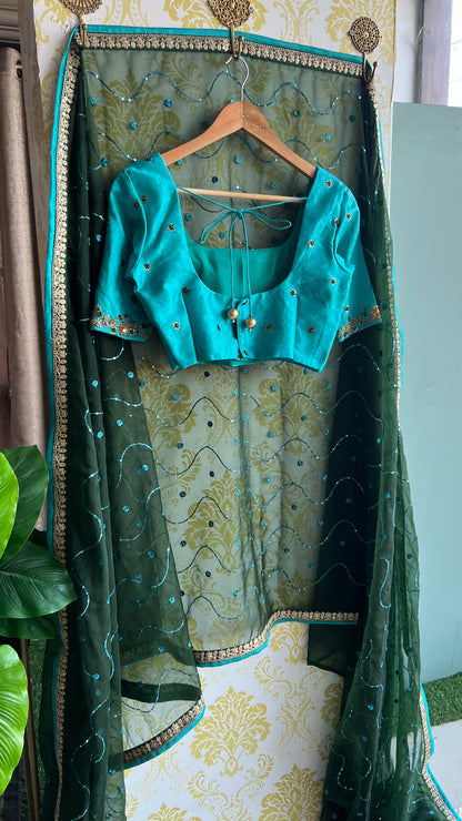 Green organza embroidery saree with hand worked blouse