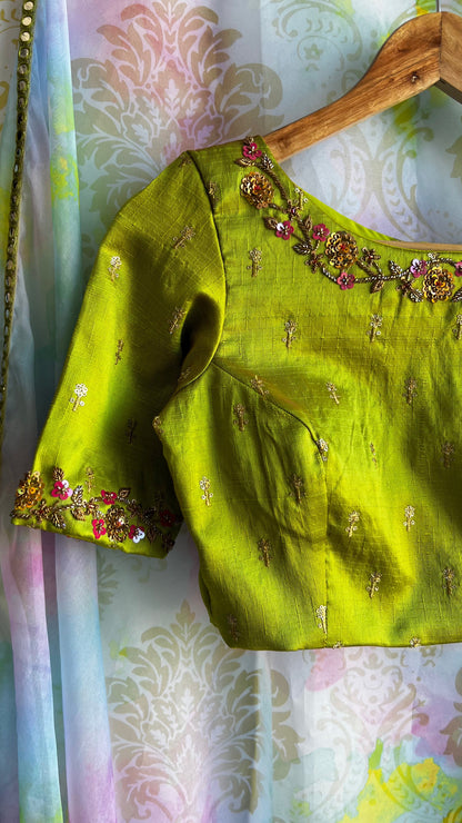 Green rainbow saree with hand work blouse