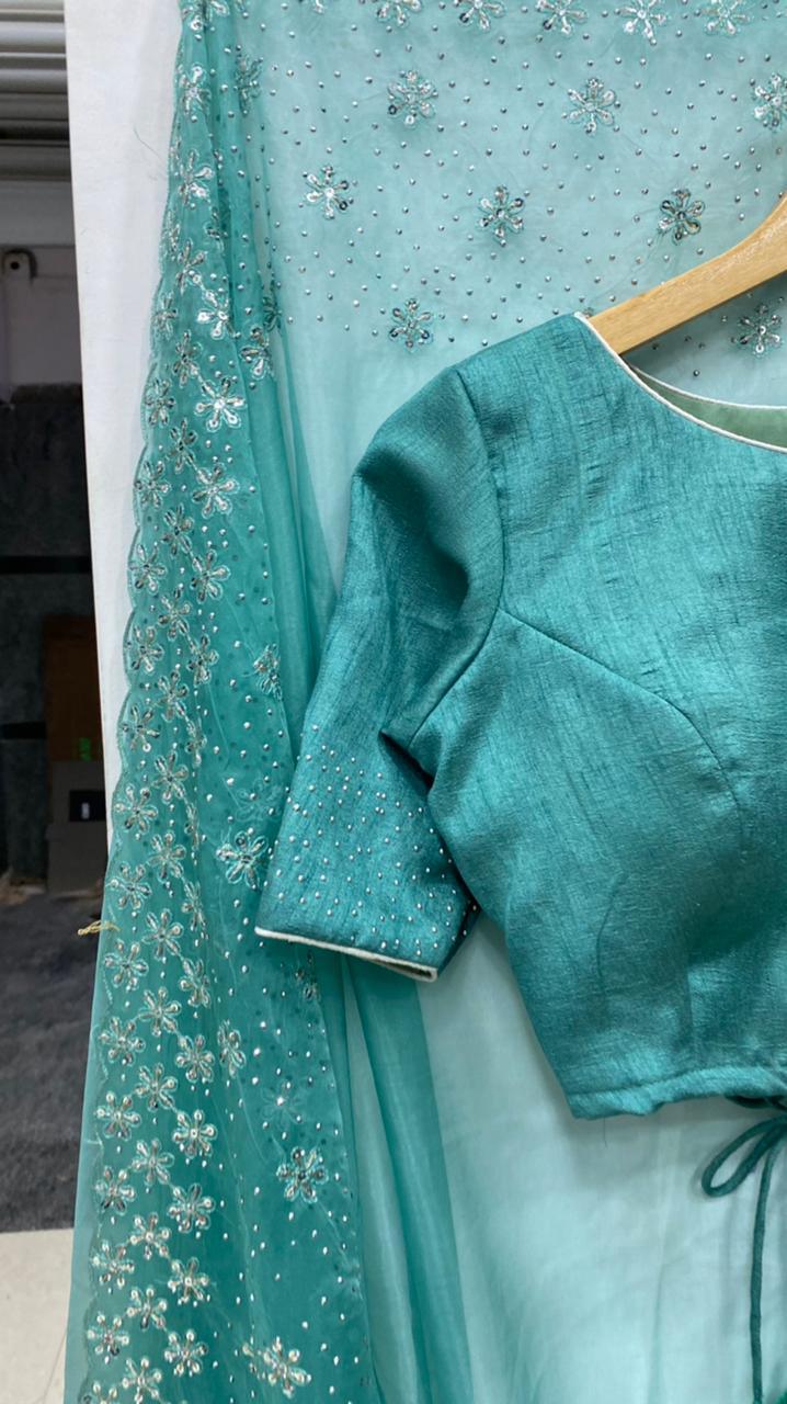 green organza embroidery saree with hand worked blouse - Threads