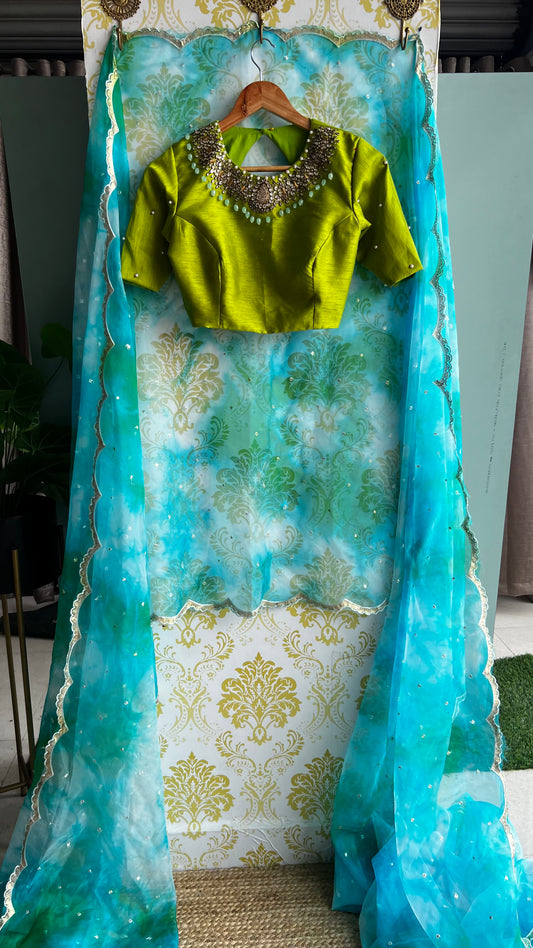 Multi organza saree with Jewel neck hand worked blouse