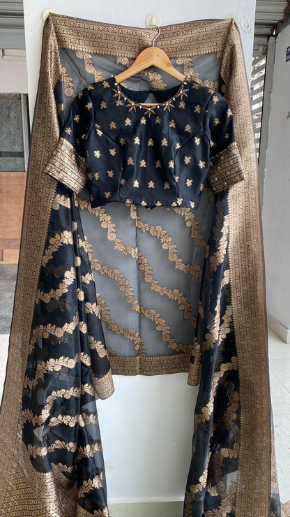 Black Beautiful organza saree with embroidery hand worked blouse